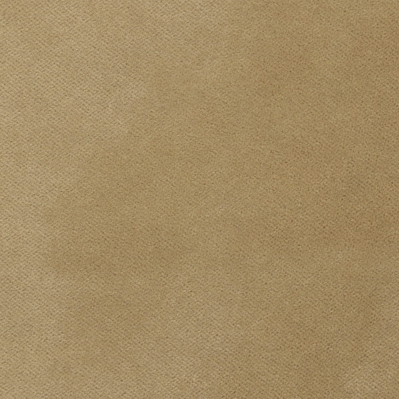 Tan suede fabric with a soft, textured surface.