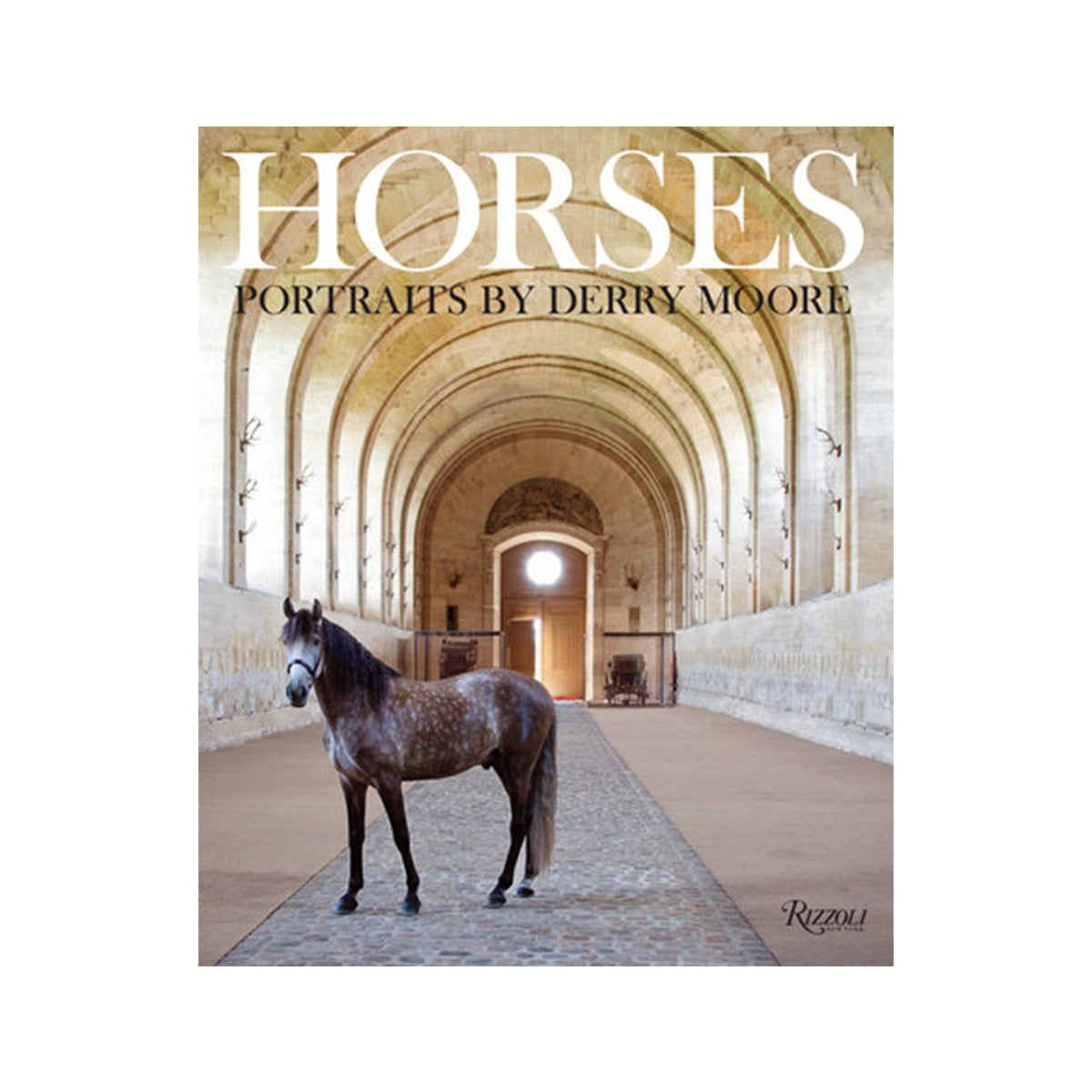 A dappled brown horse with dark mane and tail stands in an arched stone corridor wearing a white halter portrait by Derry Moore