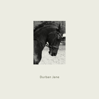 A black horse with a bridle captured in profile for maison dette fragrance durban jane product image