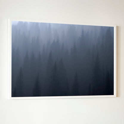 Framed photograph titled ghost of day break featuring a misty forest with dark evergreen trees in a white border
