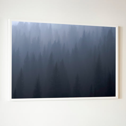 Framed photograph titled ghost of day break featuring a misty forest with dark evergreen trees in a white border
