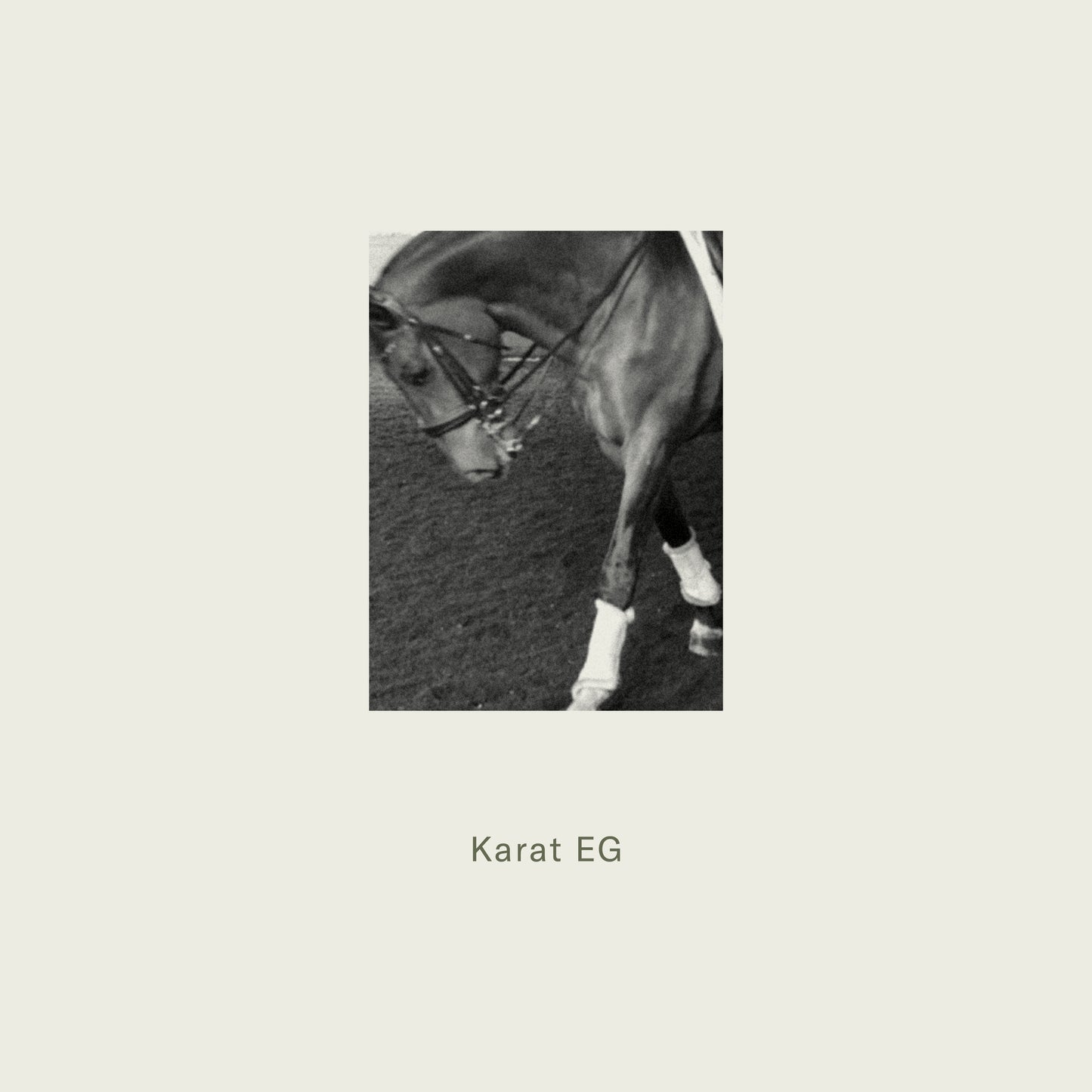 A dark-colored horse wearing a bridle and white leg wraps featured with maison detteo candle karat eg product