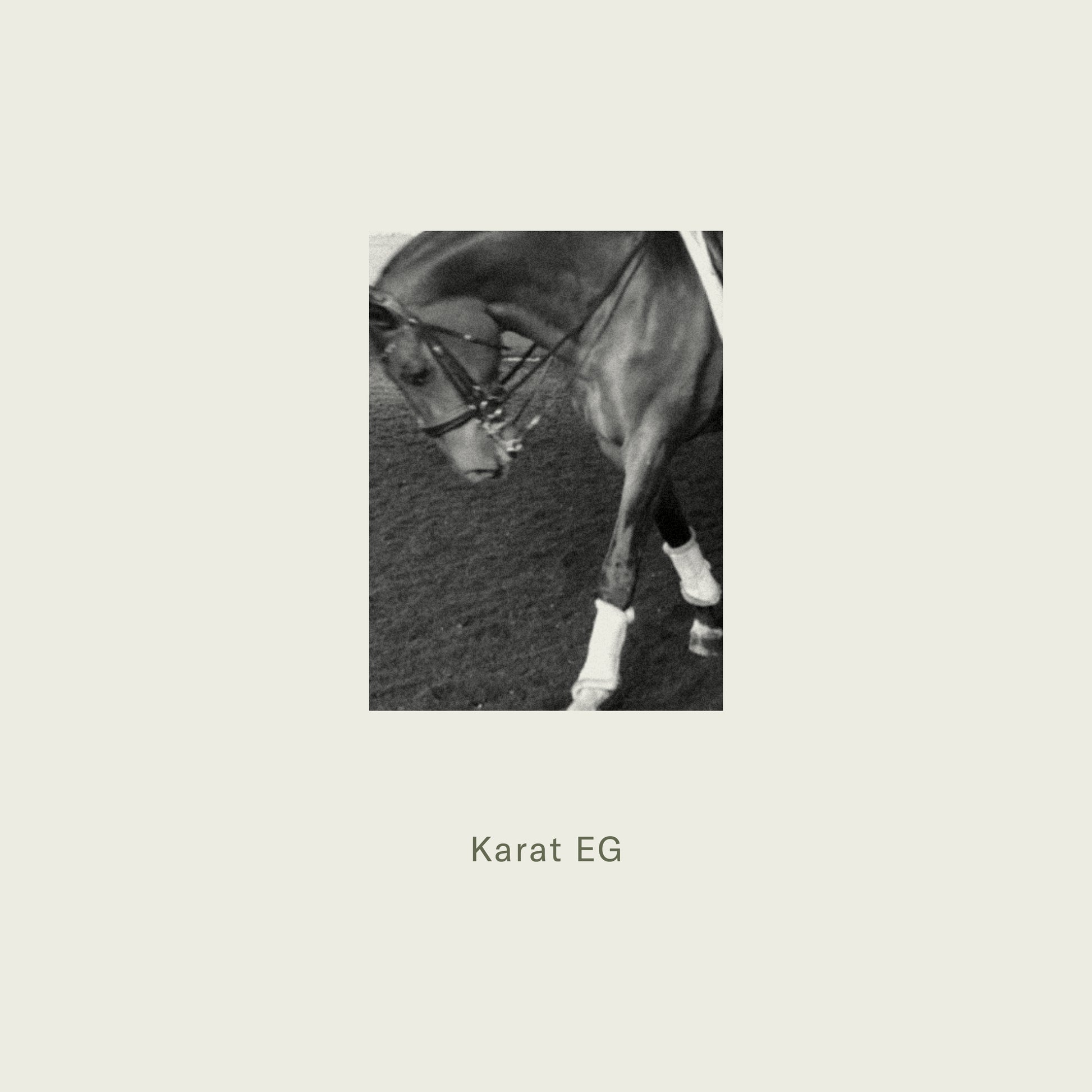A dark-colored horse wearing a bridle and white leg wraps featured with maison detteo candle karat eg product