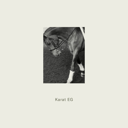 A dark-colored horse wearing a bridle and white leg wraps featured with maison detteo candle karat eg product