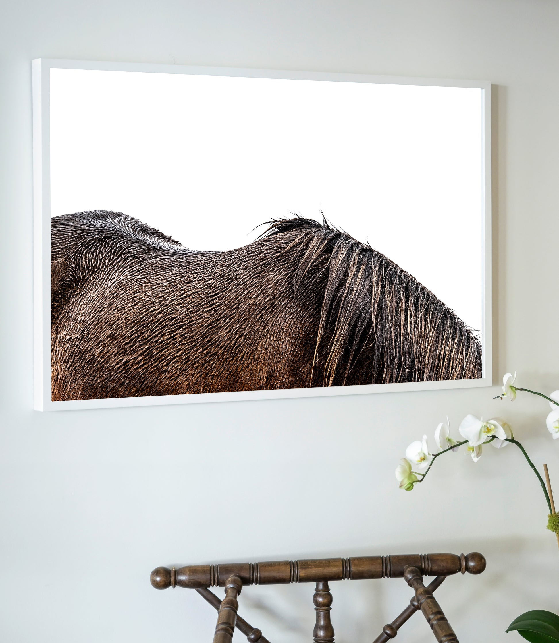 White-framed photographic print titled little mare showing the back of a dark brown horse’s mane on white background