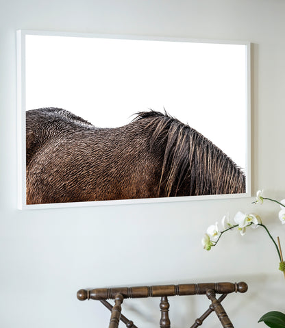 White-framed photographic print titled little mare showing the back of a dark brown horse’s mane on white background