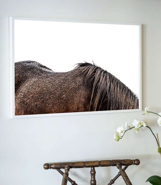 White-framed photographic print titled little mare showing the back of a dark brown horse’s mane on white background