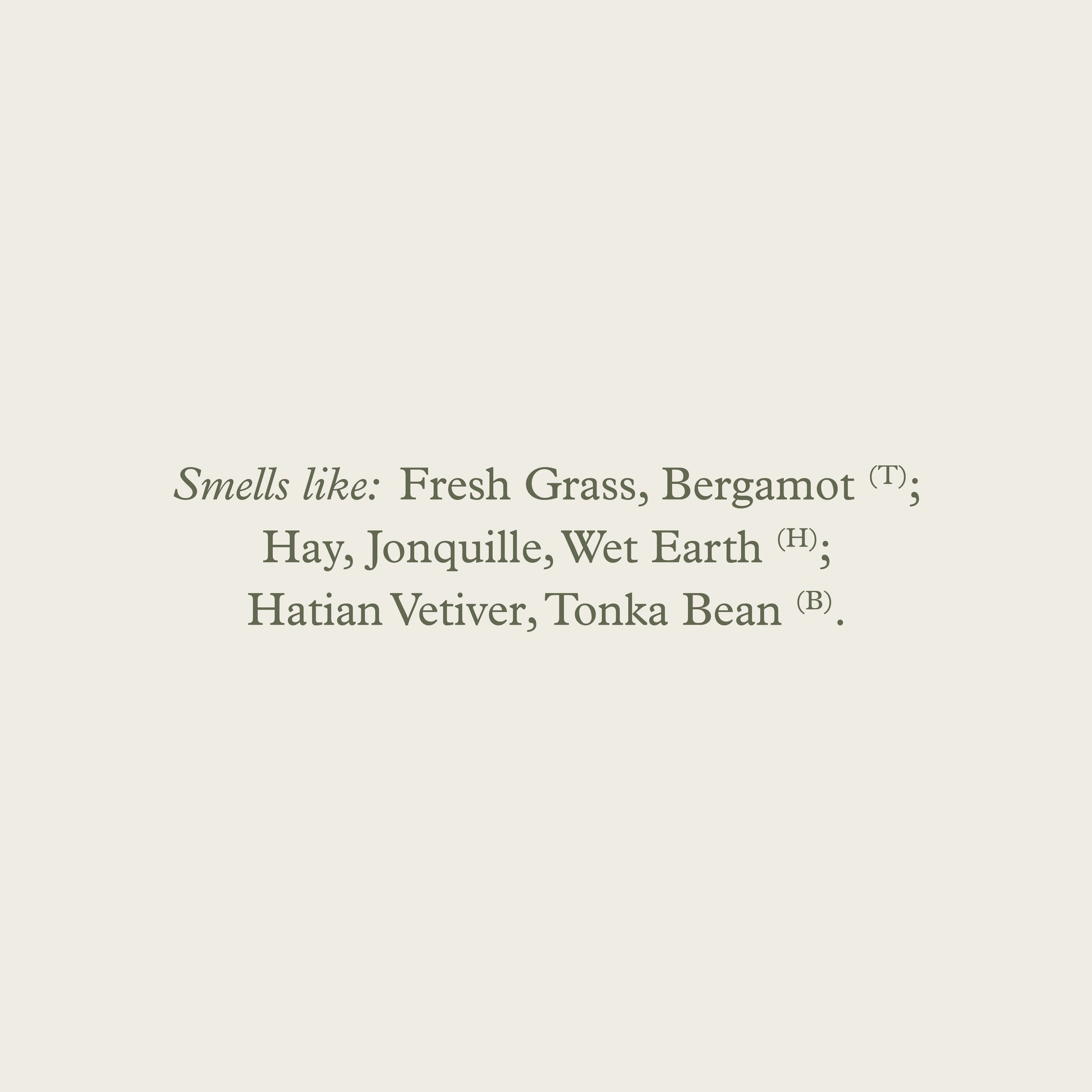 Minimalist text label of maison d’etto fragrance macanudo listing scent notes fresh grass bergamot hay jonquille wet earth vetiver tonka bean