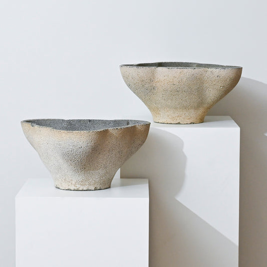 The 19th Century Antique Belgian Trefoil Planter, with its textured, irregular shape and neutral tones, is displayed on white pedestals against a light background, highlighting its organic and natural antique charm.