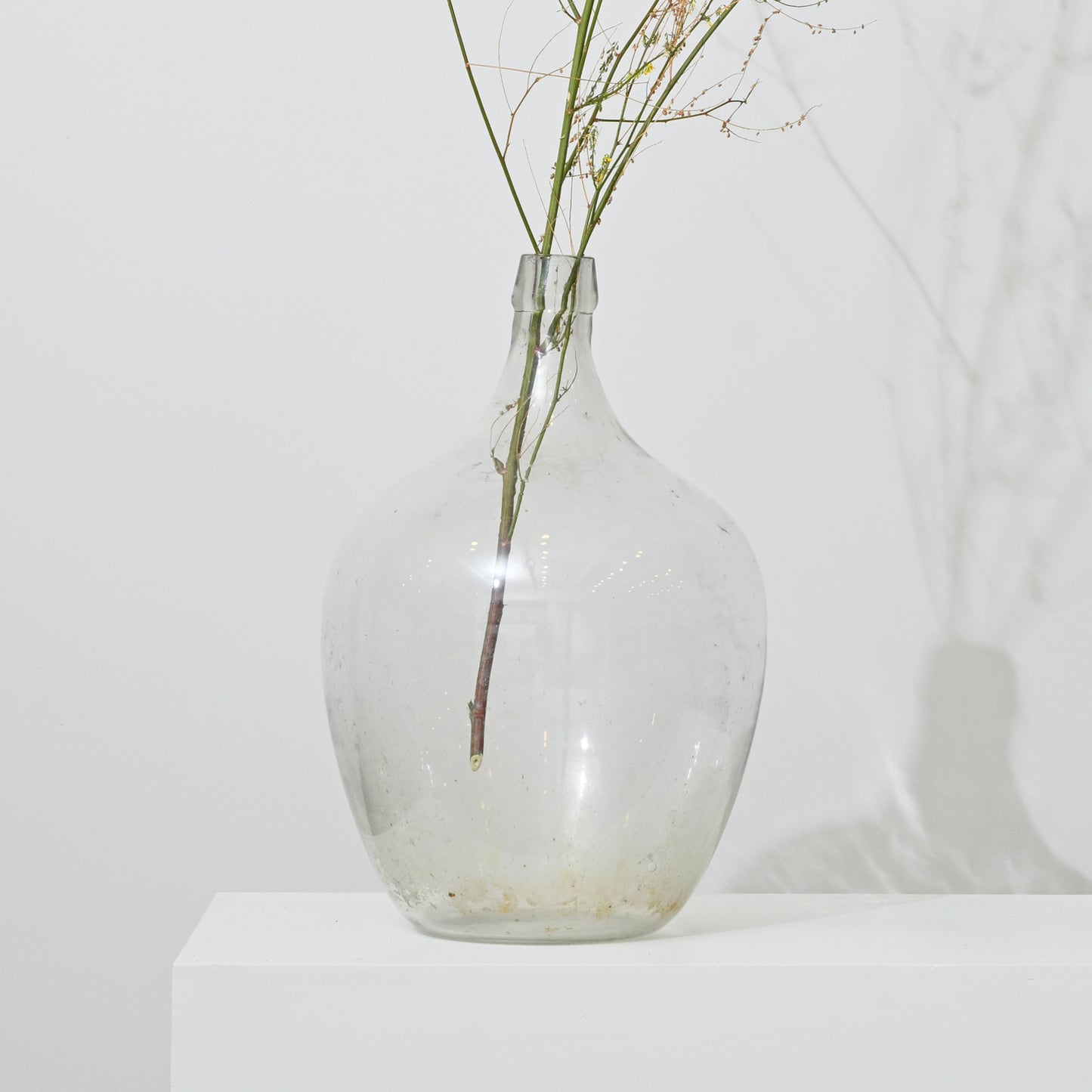 Clear glass demijohn vase with a bulbous body and narrow neck holding delicate dried stems
