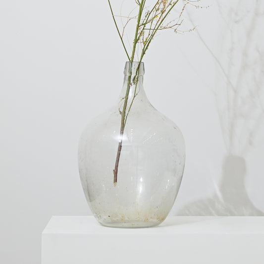 Clear glass demijohn vase with a bulbous body and narrow neck holding delicate dried stems